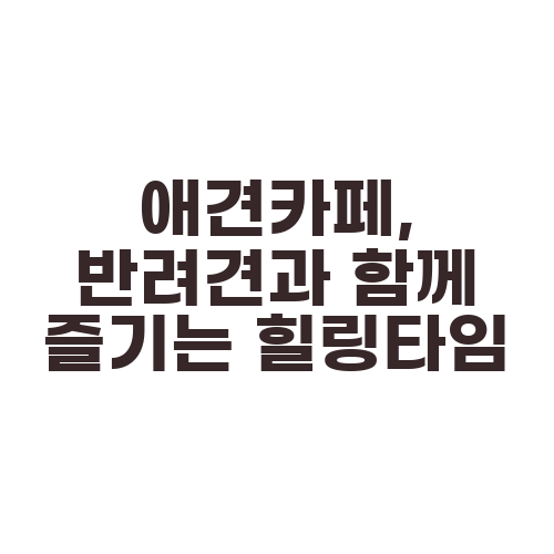 애견카페, 반려견과 함께 즐기는 힐링타임